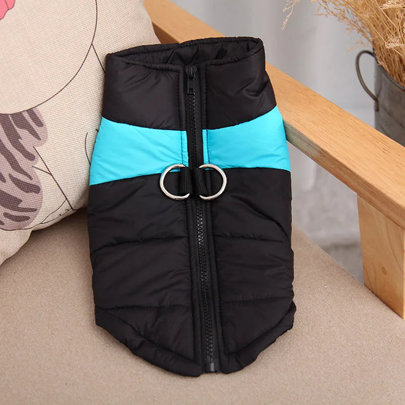 All Seasons Dog Jacket