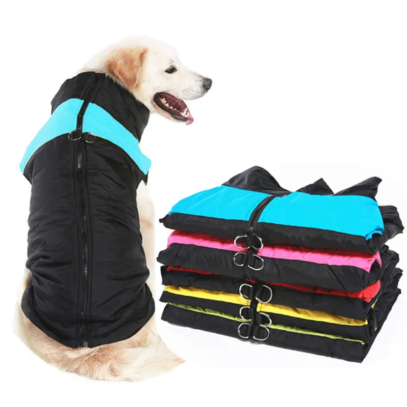 All Seasons Dog Jacket