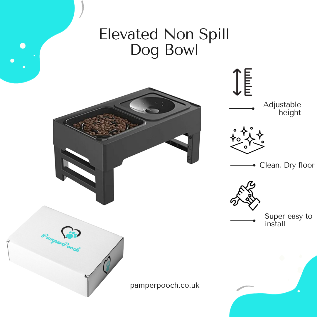 EazyEats ™  Elevated Non Spill Dog Bowl, Adjustable Height With Slow Feeder